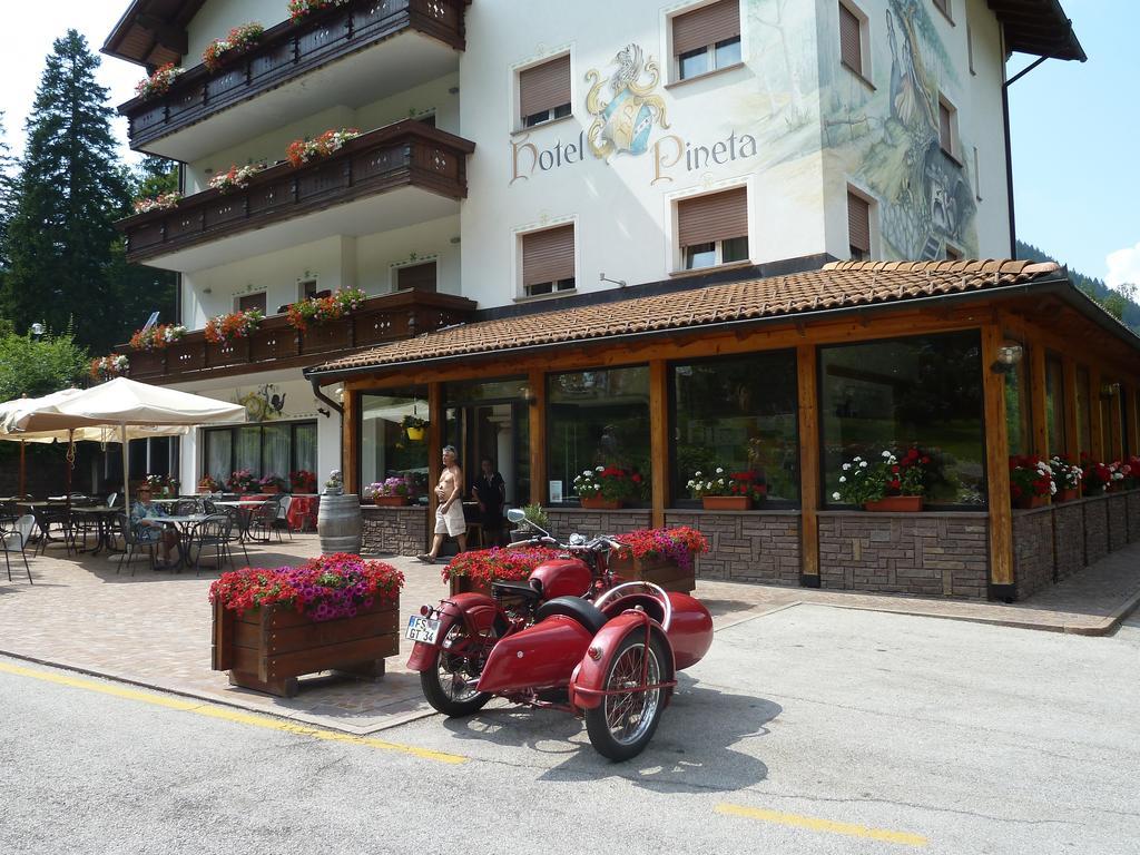 Hotel Pineta 바셀가디피네 외부 사진